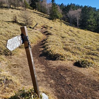 天狗棚山向かいます