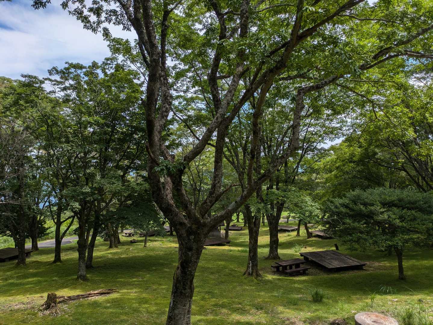 大洞山-大洞山-四ノ峰 周回コースの写真