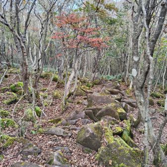 分かりづらいので注意⚠️