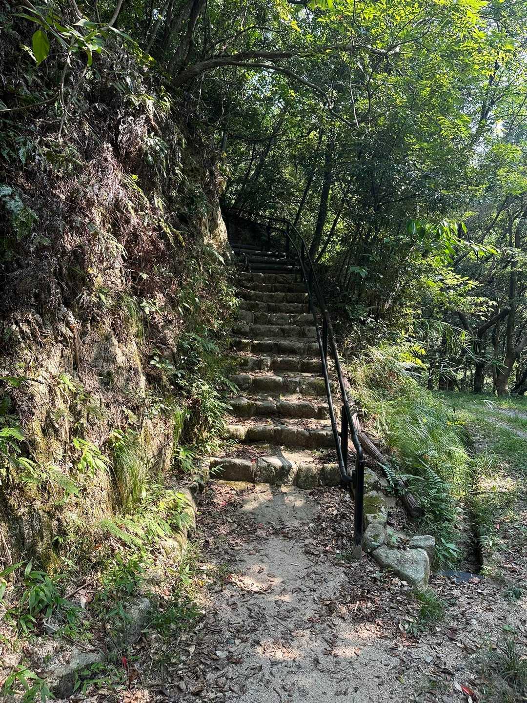 大城山登山道入口-大城山-大城自然の宝道登山口 周回コースの写真
