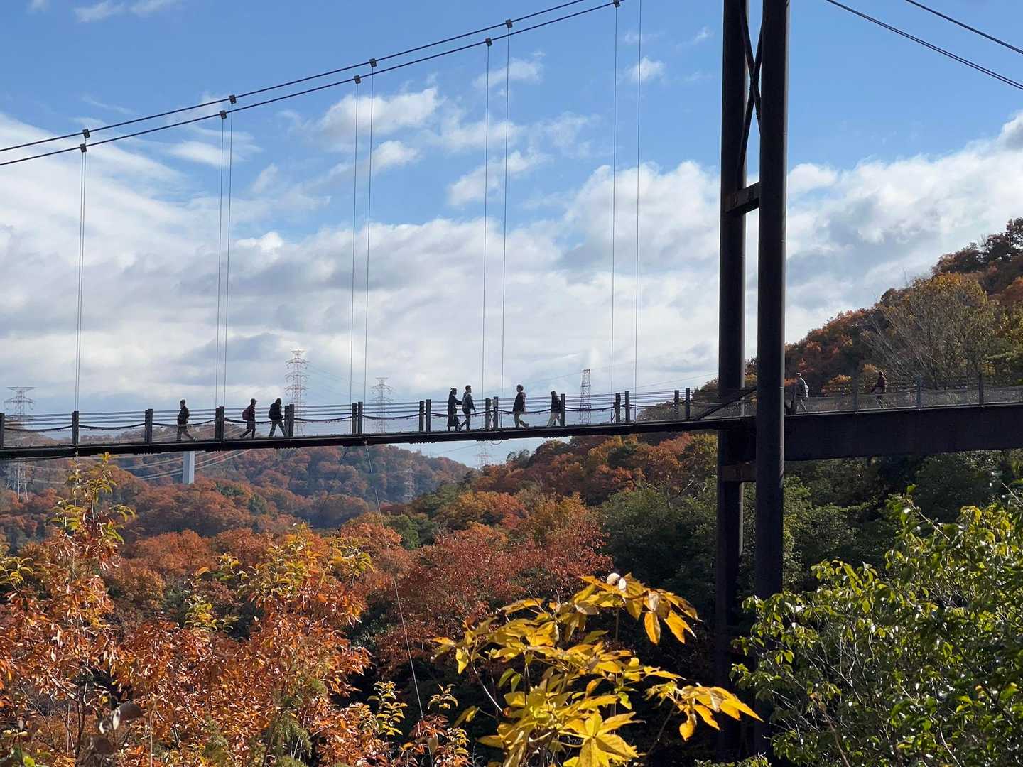 日南山 往復コースの写真