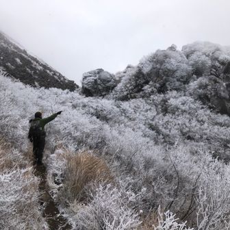 オッス・オラ・ウータン