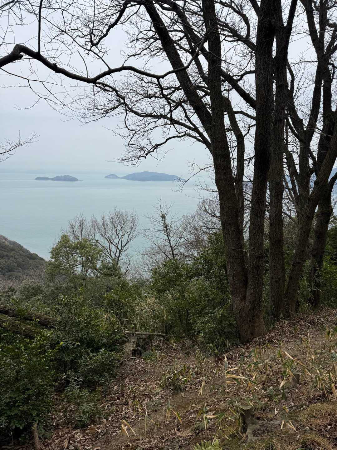 手島小手島展望所からの展望。