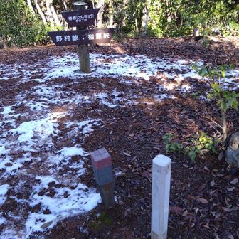 梅境界山頂
権現山からだとやや距離がありそうなので今回で、ピークは踏んどきたいなぁと足を伸ばしてこちらまで