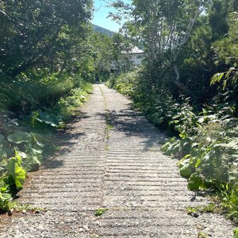 暑かったですが無事に下山しました。
