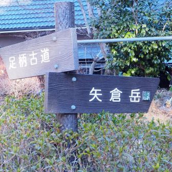 いよいよ登山スタートです♪