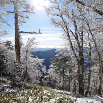 帰りも霧氷を❄
