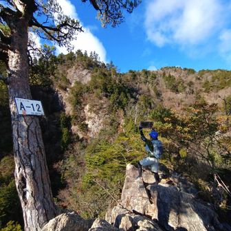 ししまるカフェ
