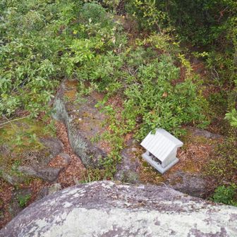 山頂の岩のすぐ裏側の株に謎のお社。