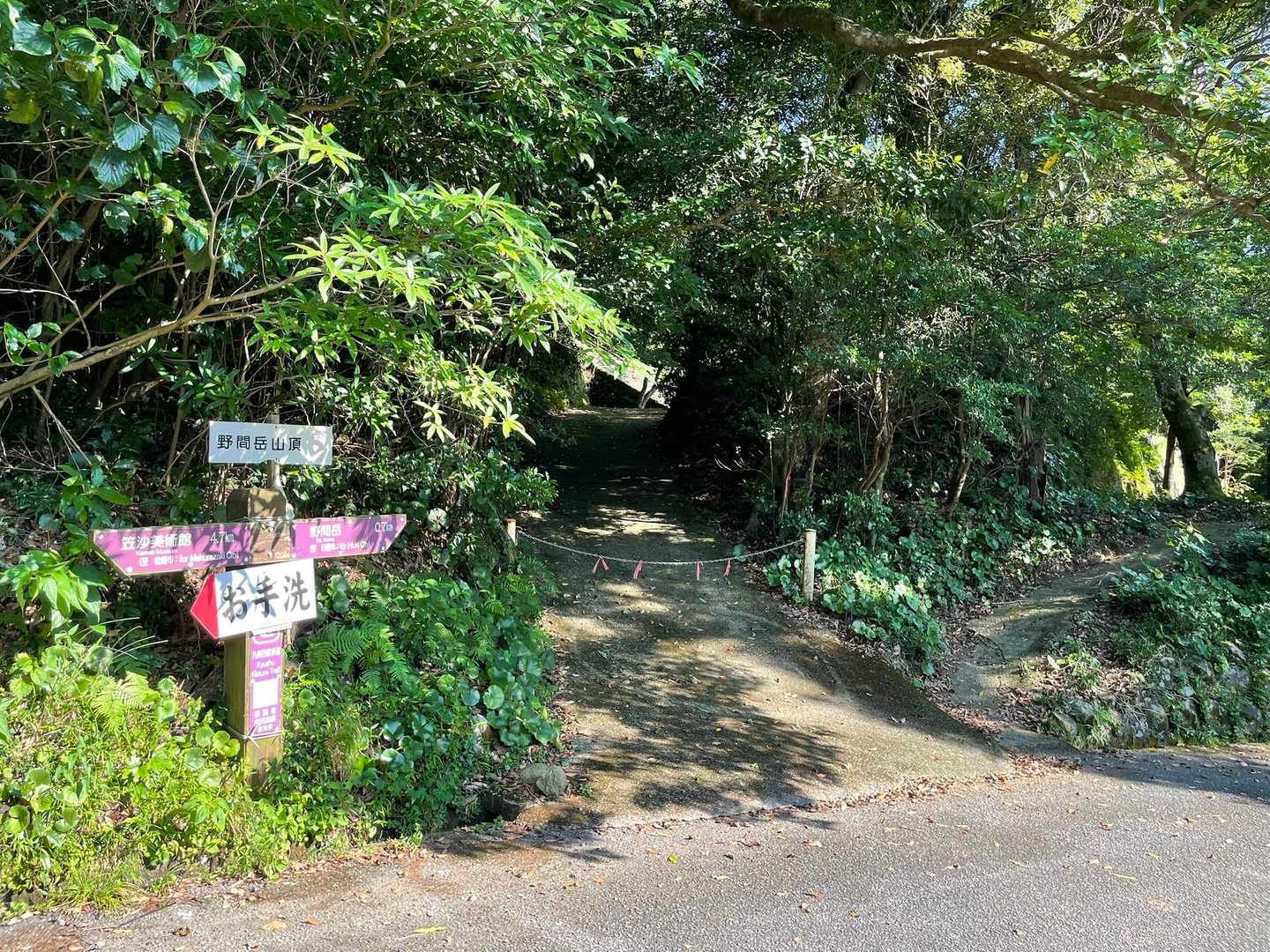 登山スタート▶️
すでに暑い🥵