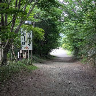 最終便の1本手前
