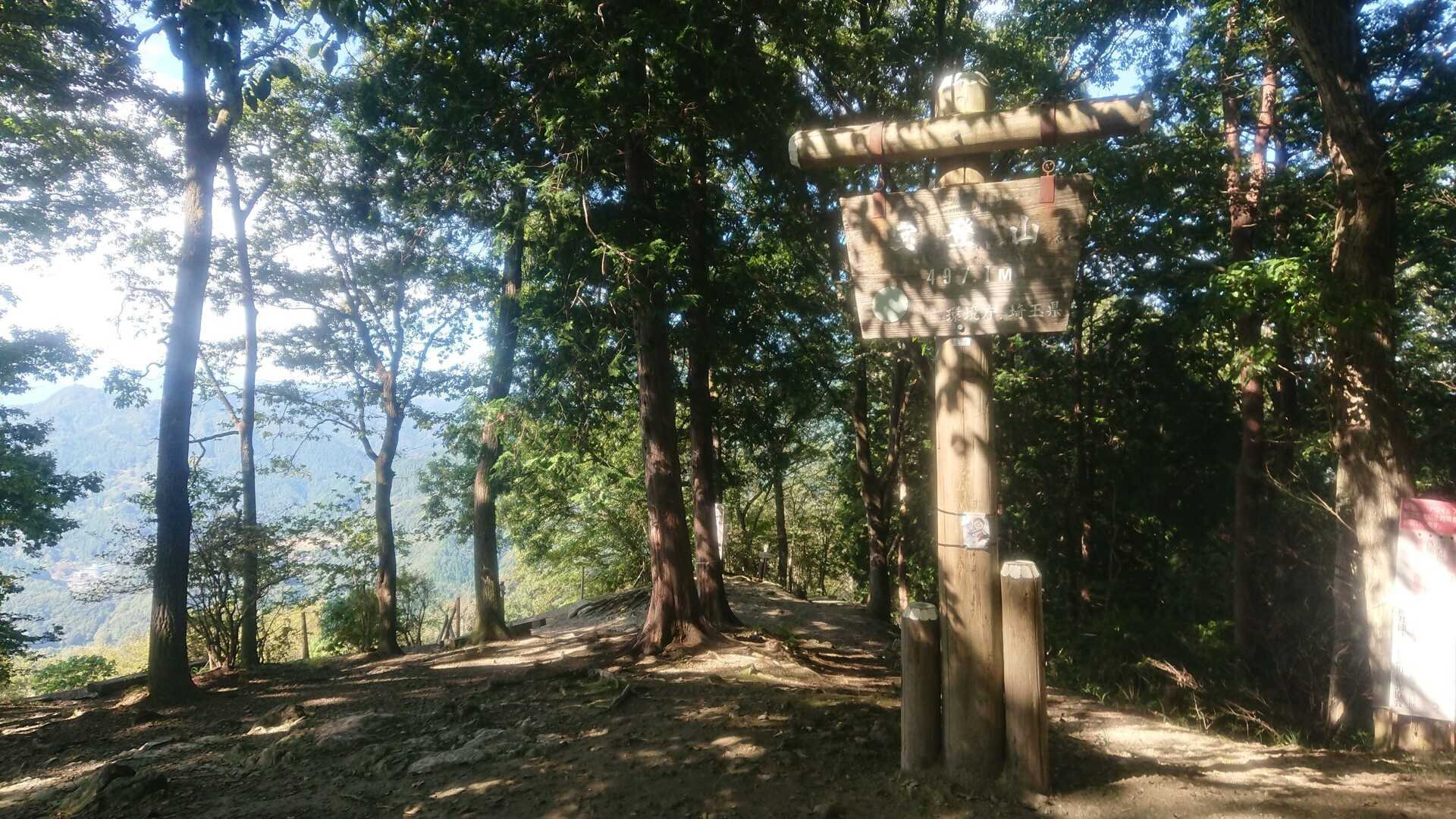 宝登山の写真