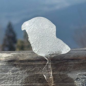 お友達と一緒に🐥