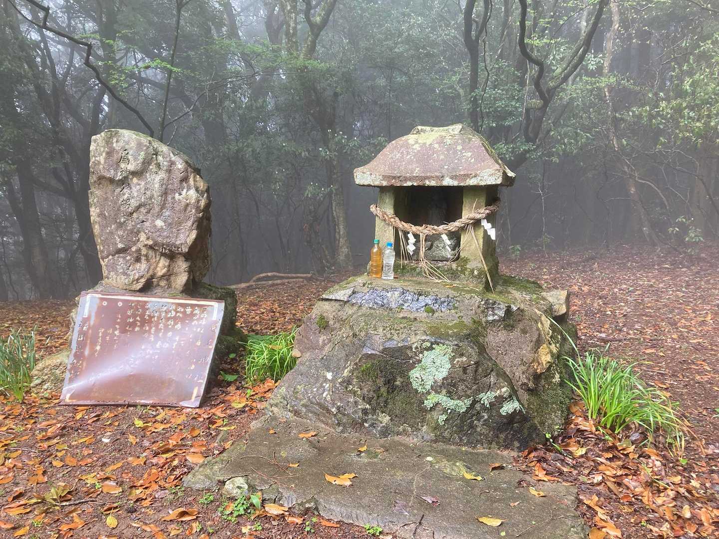雨の龍王山・下竜王山 / Wild river3の登山データ | YAMAP / ヤマップ