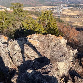 やっぱりウズウズして影で遊ぶ(*´艸｀*)