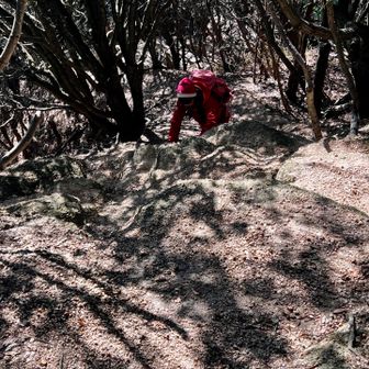 階段はないが、結構きつい。