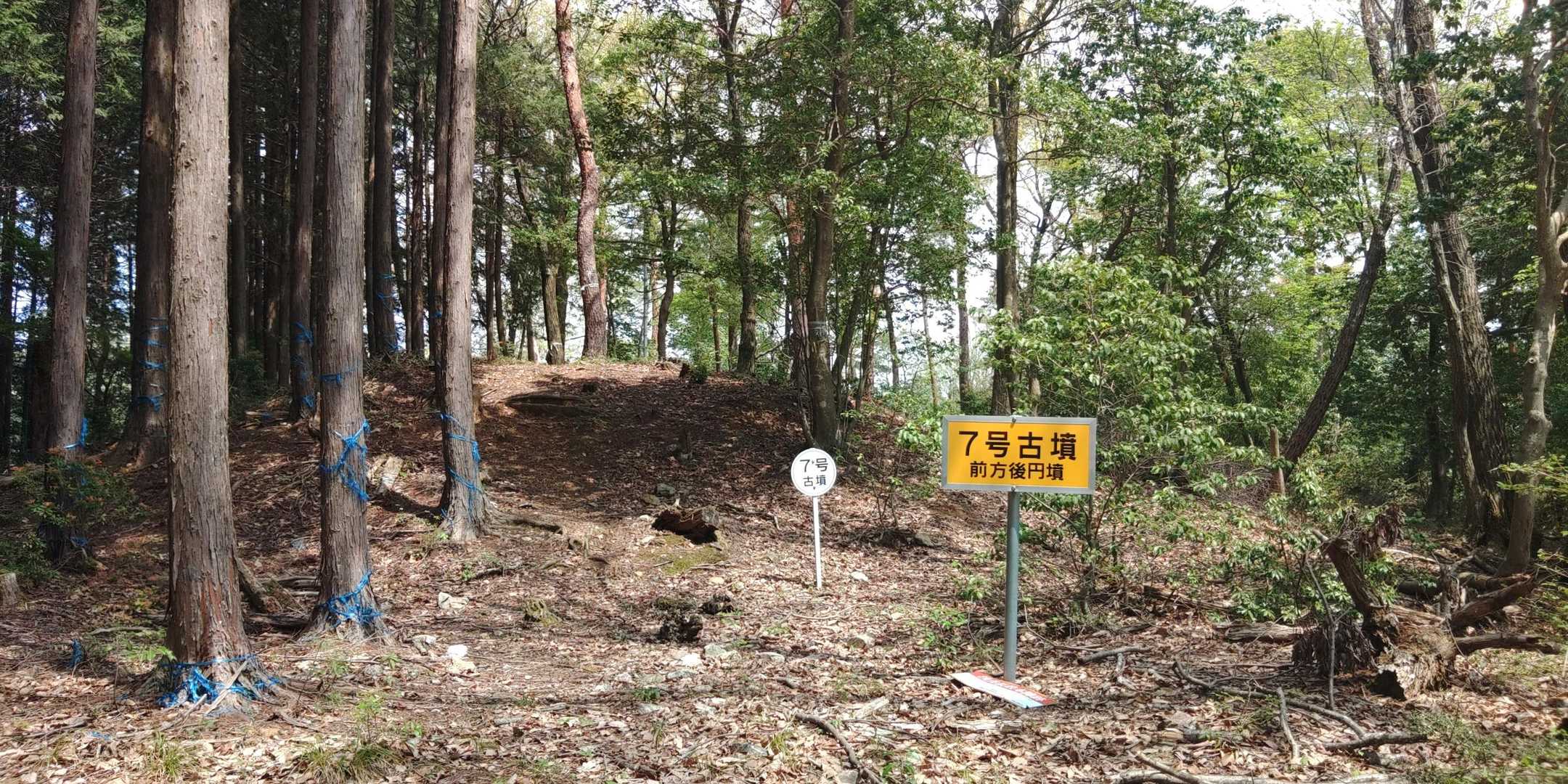 古墳が続きますが陣を張るため削られています。