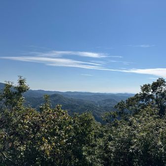 良い景色です