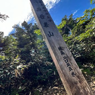 眺望0😅