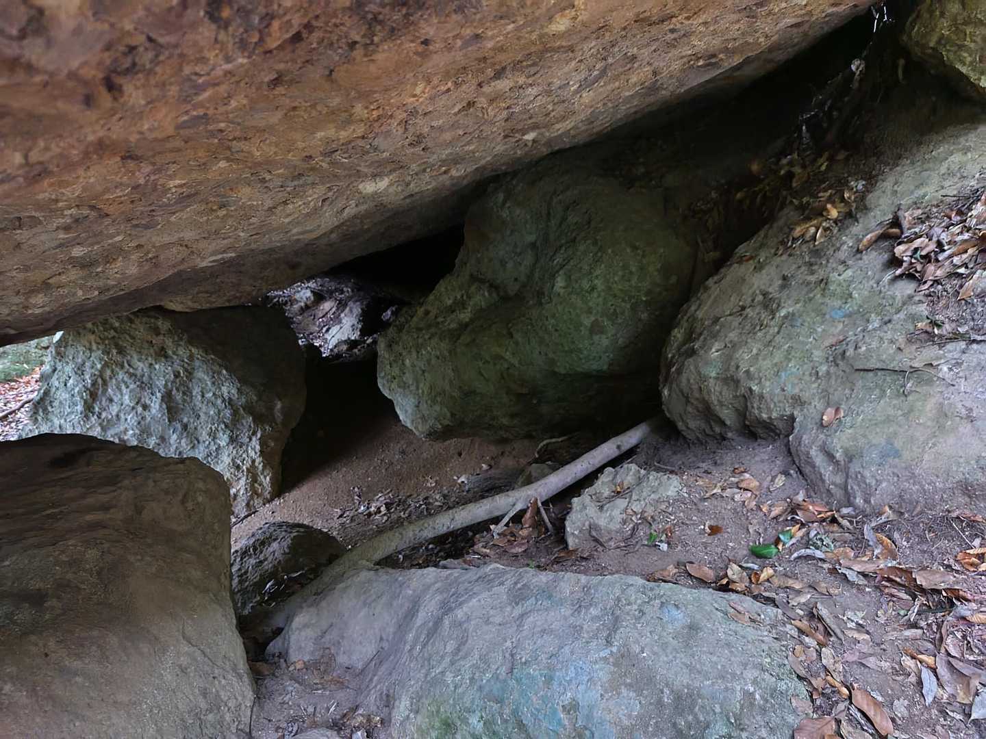 竜門ダム登山口-青牧峠-青螺山-見返り峠-黒髪山-後の平- 周回コースの写真