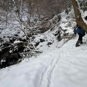 登りの9:58⏰
1枚前の写真の辺りはこんな感じだったのに。