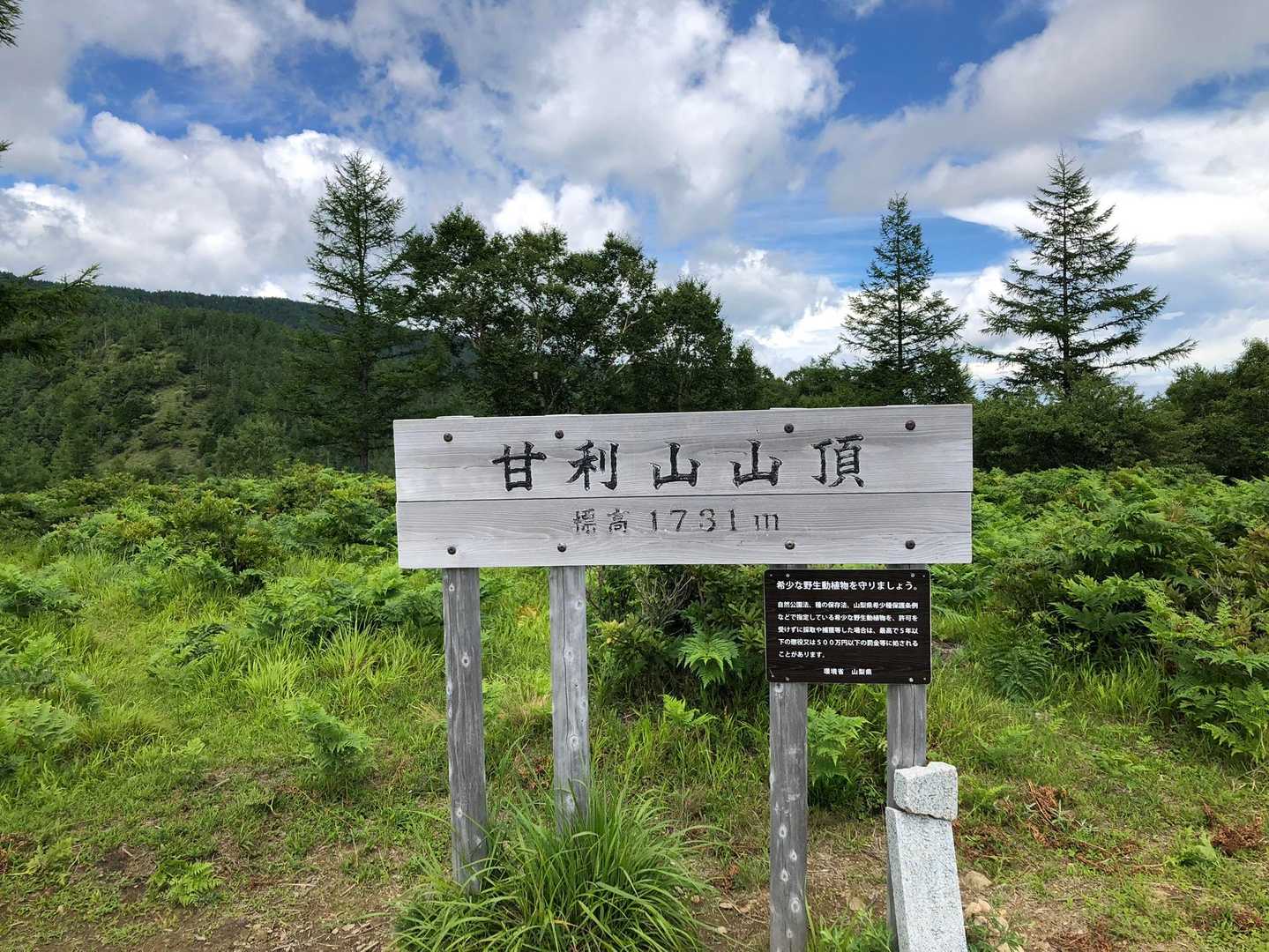 甘利山登山口-甘利山-大西峰 往復コースの写真