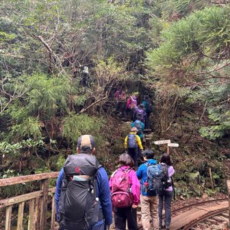 ようやく登山道スタート
気持ちは上高地から歩き続けて横尾スタートな気分笑