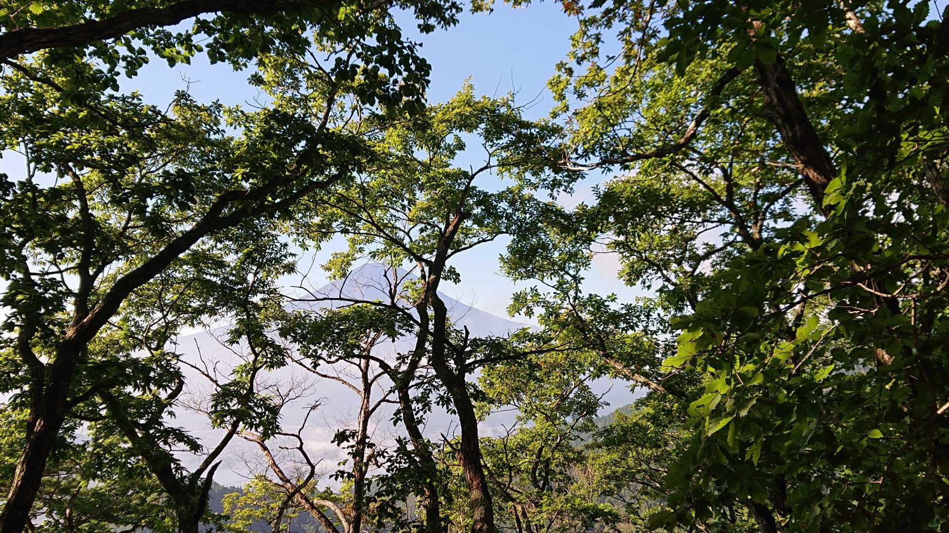うふ🎵

見えたよ‼️