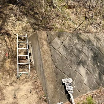 仙人ヶ岳登山口