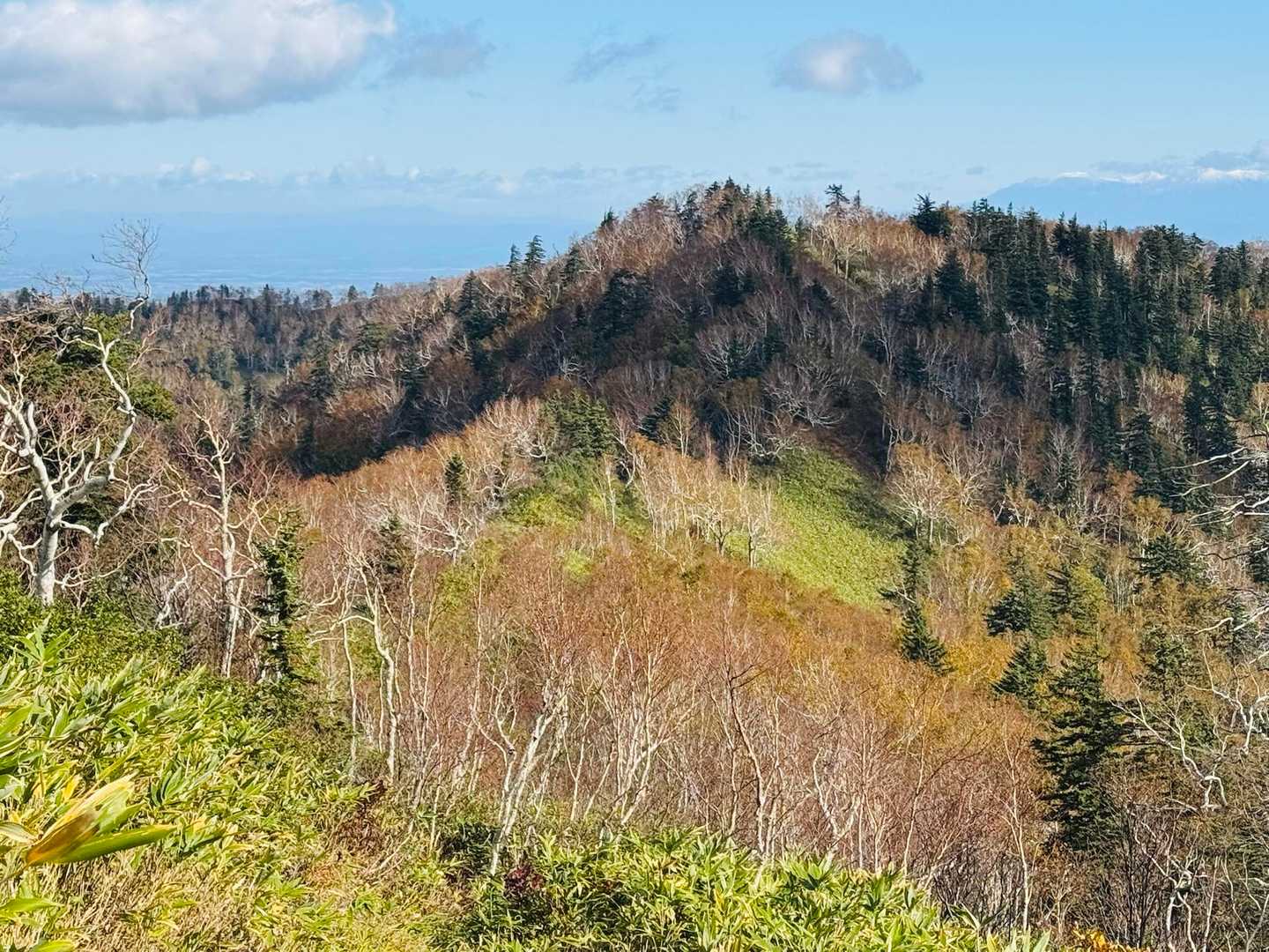 快適なハイキング🥾
下山時、スライド10組程。
youも居た。