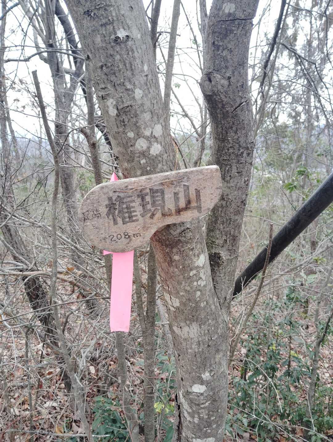 まずは尾崎権現山到着‼️‼️