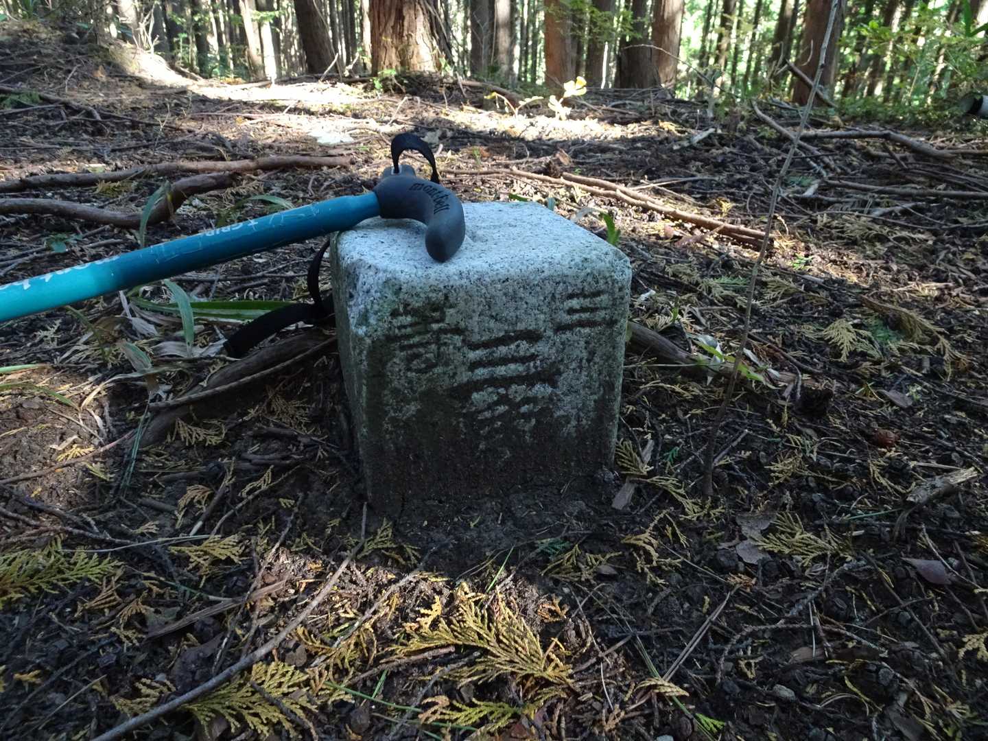 戸屋山山頂着。
山頂で厚朴沢三等三角点(564.95m)ＧＥＴ！