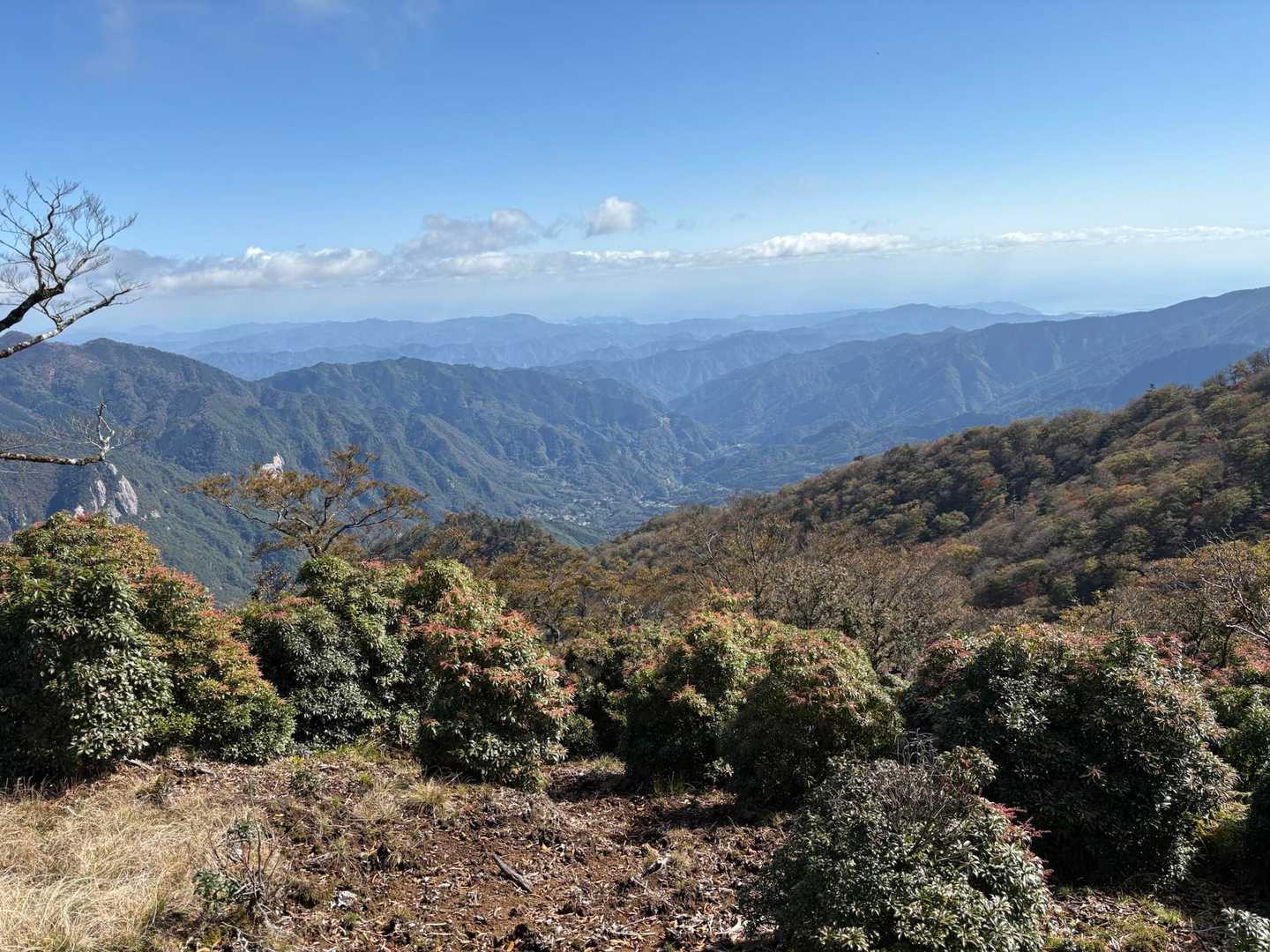 坊主尾根コース | ハシゴ・鎖場多数。九州最後の秘境と呼ばれる大崩山への写真
