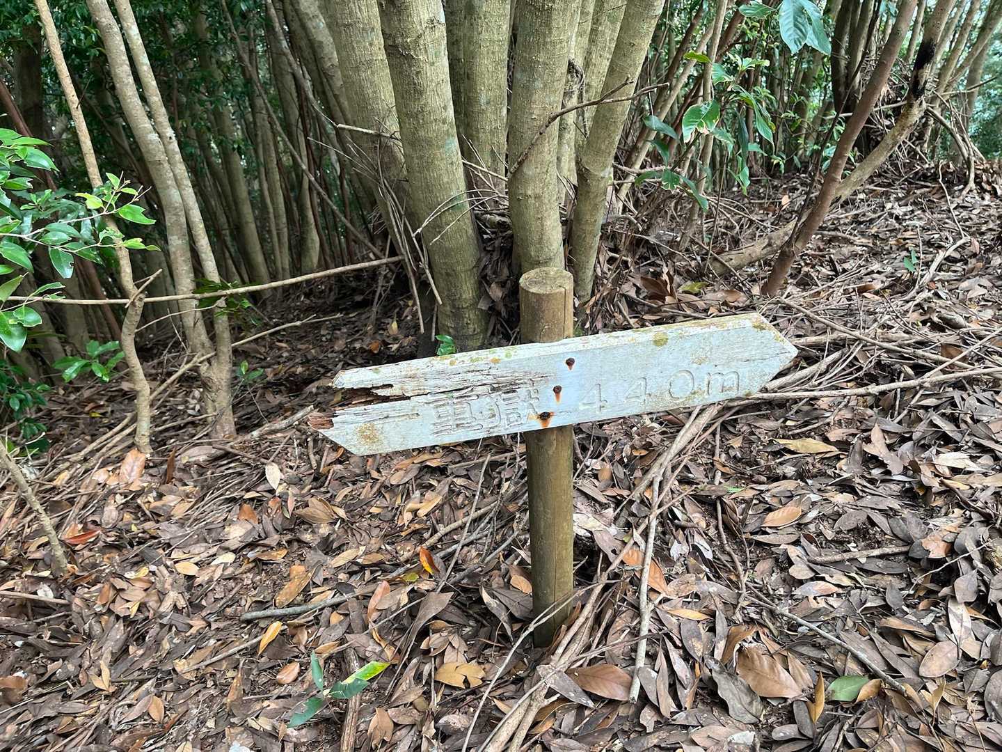 楽しかった