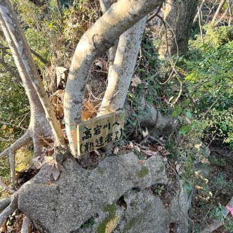 拙者、未熟者ゆえ普通の道を参るでござる