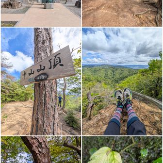 中山寺奥之院。

中山山頂。

大峰山の方からお誘いが。

ツインズイワタバコ。