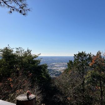 東屋からの眺め👀