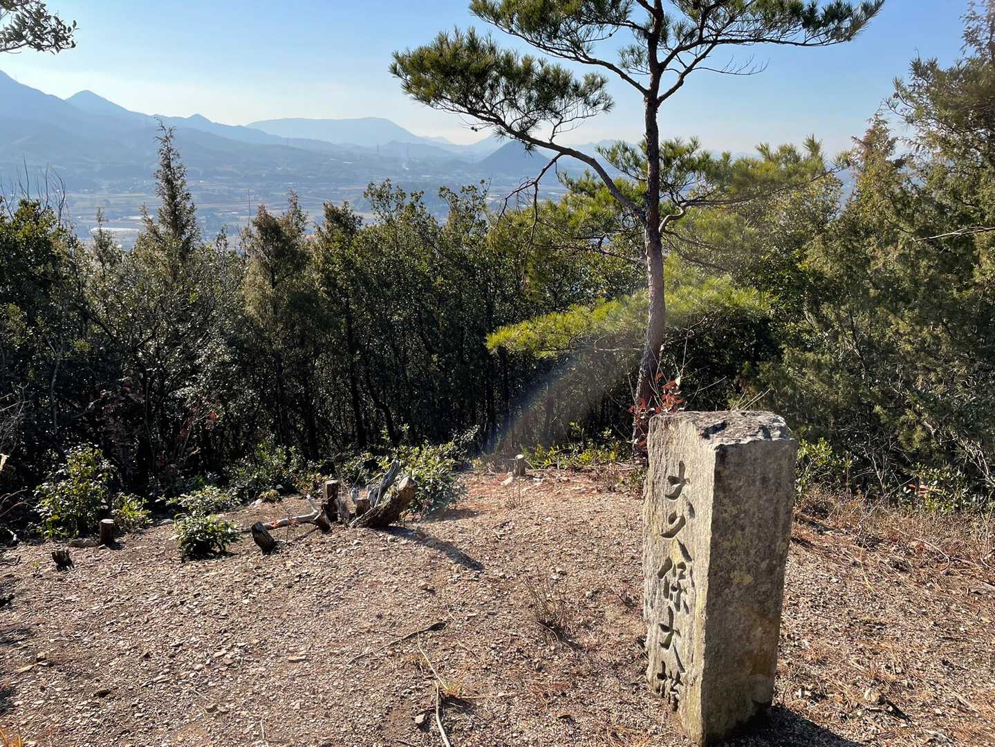 頂上少し開けてます。