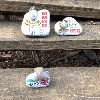 藤川監督や岡田監督まで