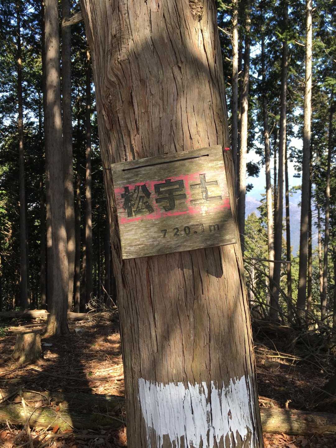 山頂名板を確認。
松宇土720mに到着！🤗