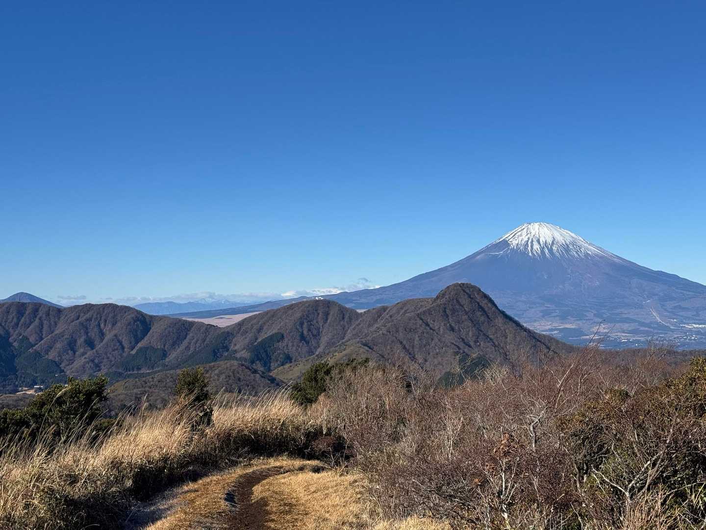 ご機嫌な道🎶
