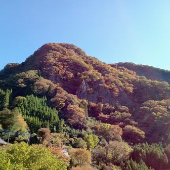 ゆっくり登ろう山
