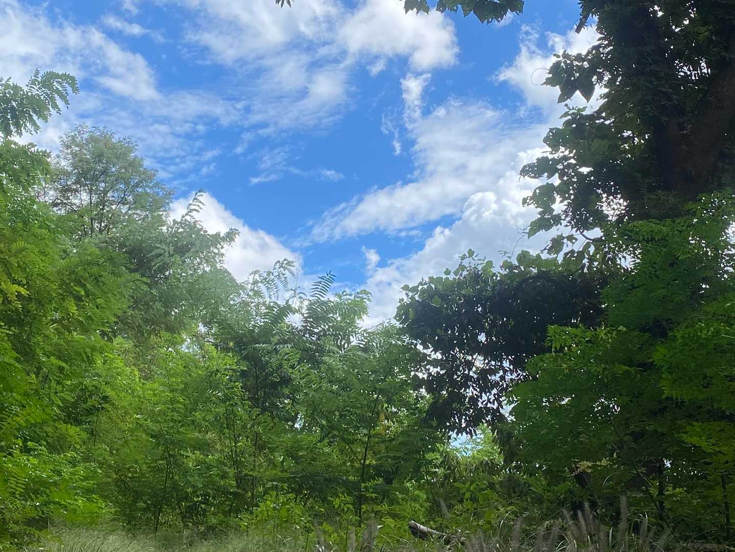 青空が気持ち良いですね😊