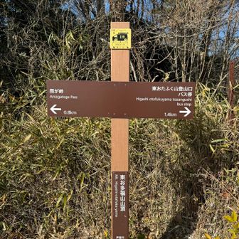 東おたふく山初登頂✨