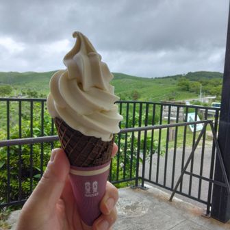 名物の梨ソフトをいただきました。