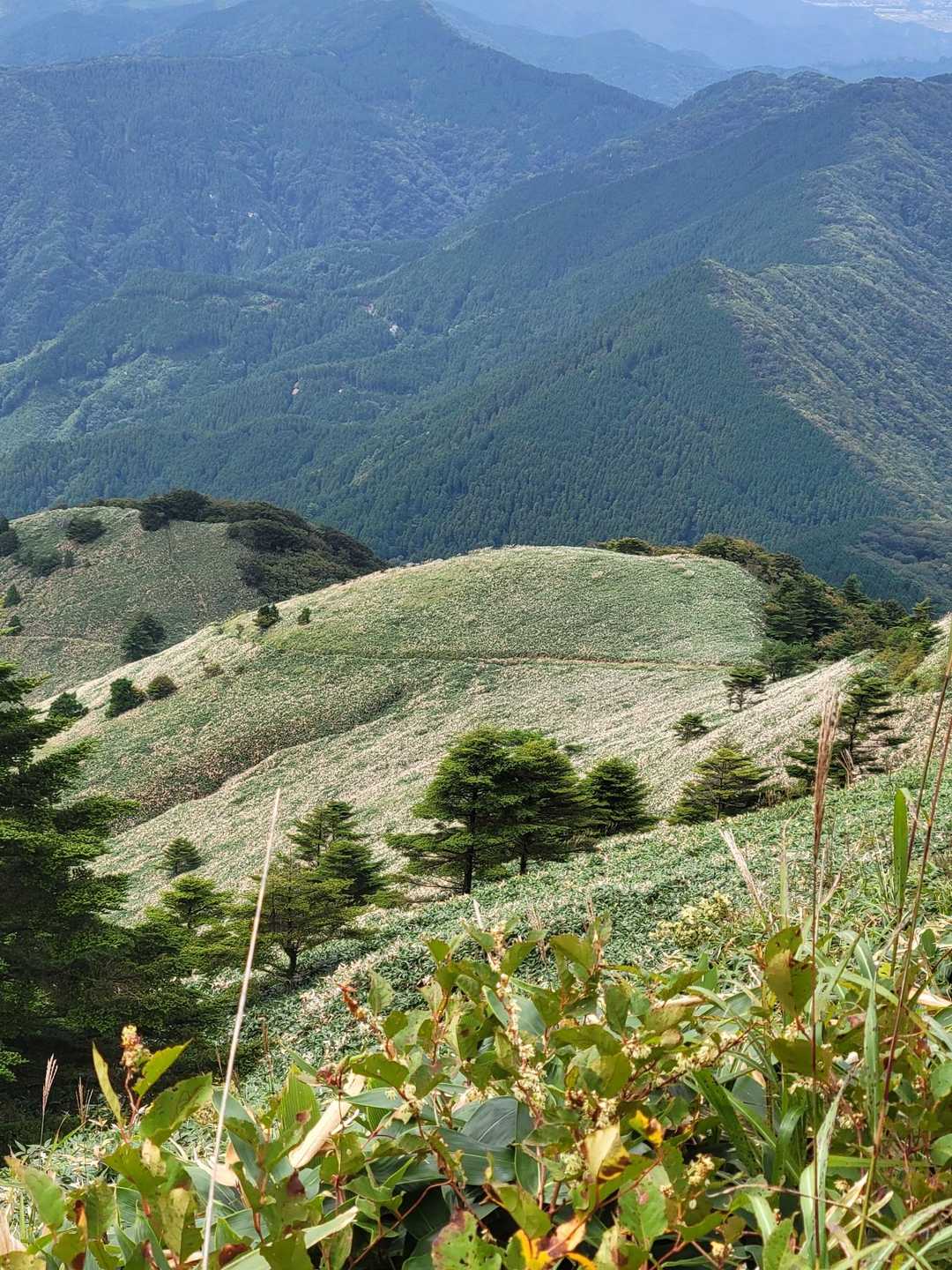 梅ヶ市登山口-堂ヶ森 往復コースの写真