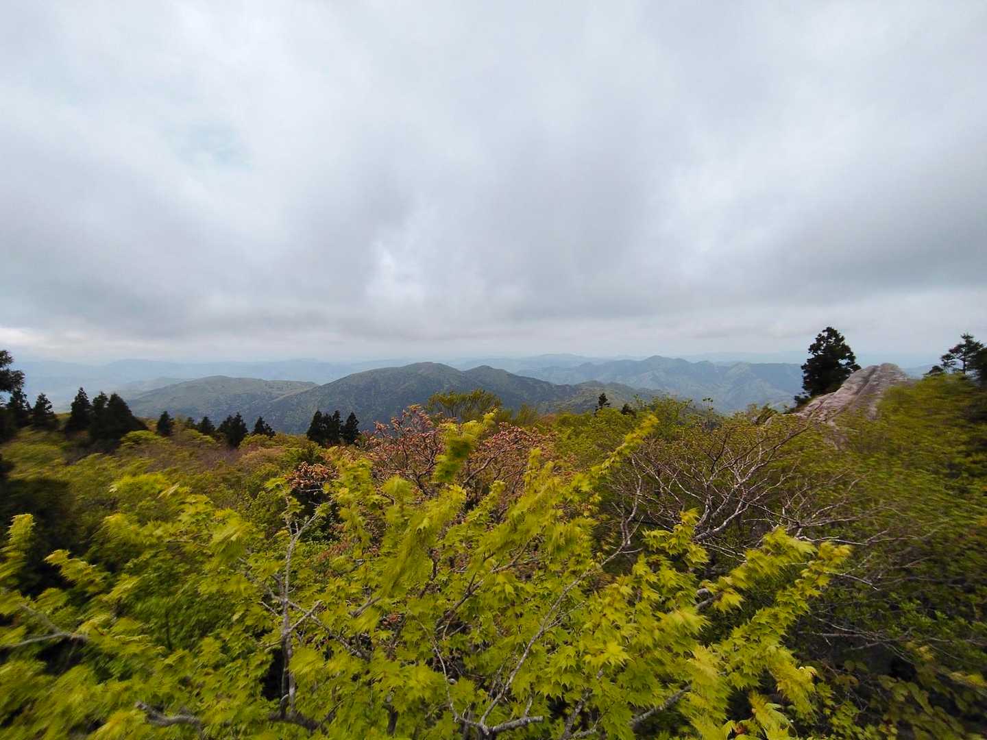 岩の上からの景色