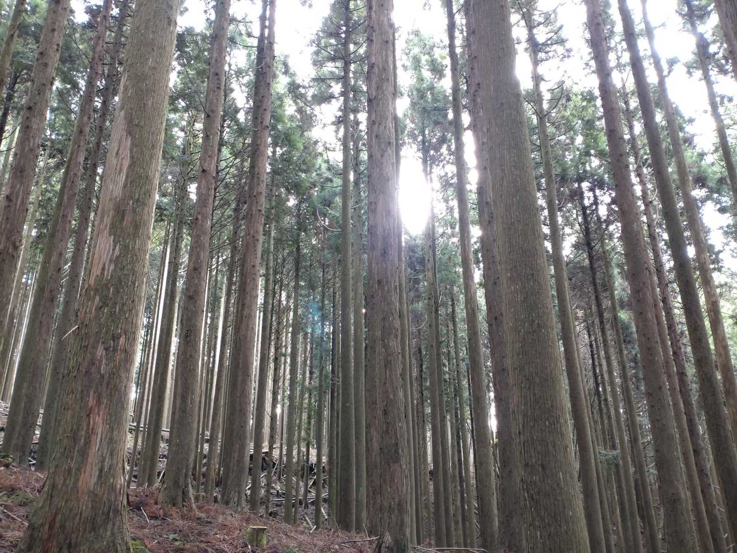 時々ルート外して地図を確認しながら💦