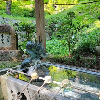 手水舎も涼しげ🌿