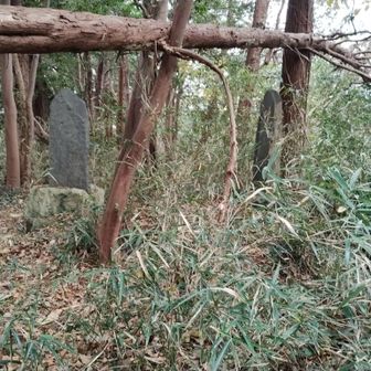 石碑は、いったいいくつあるのだろうか？